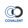 Covalent Networks
