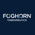 Foghorn Therapeutics's Profile Image