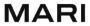 Mari logo