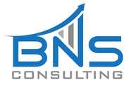 BNS Consulting logo