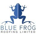 Blue Frog Roofing logo