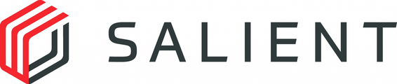 Salient Systems logo