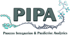 Large pipa r2