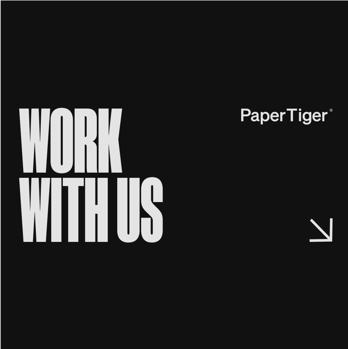 Paper Tiger - Current Openings