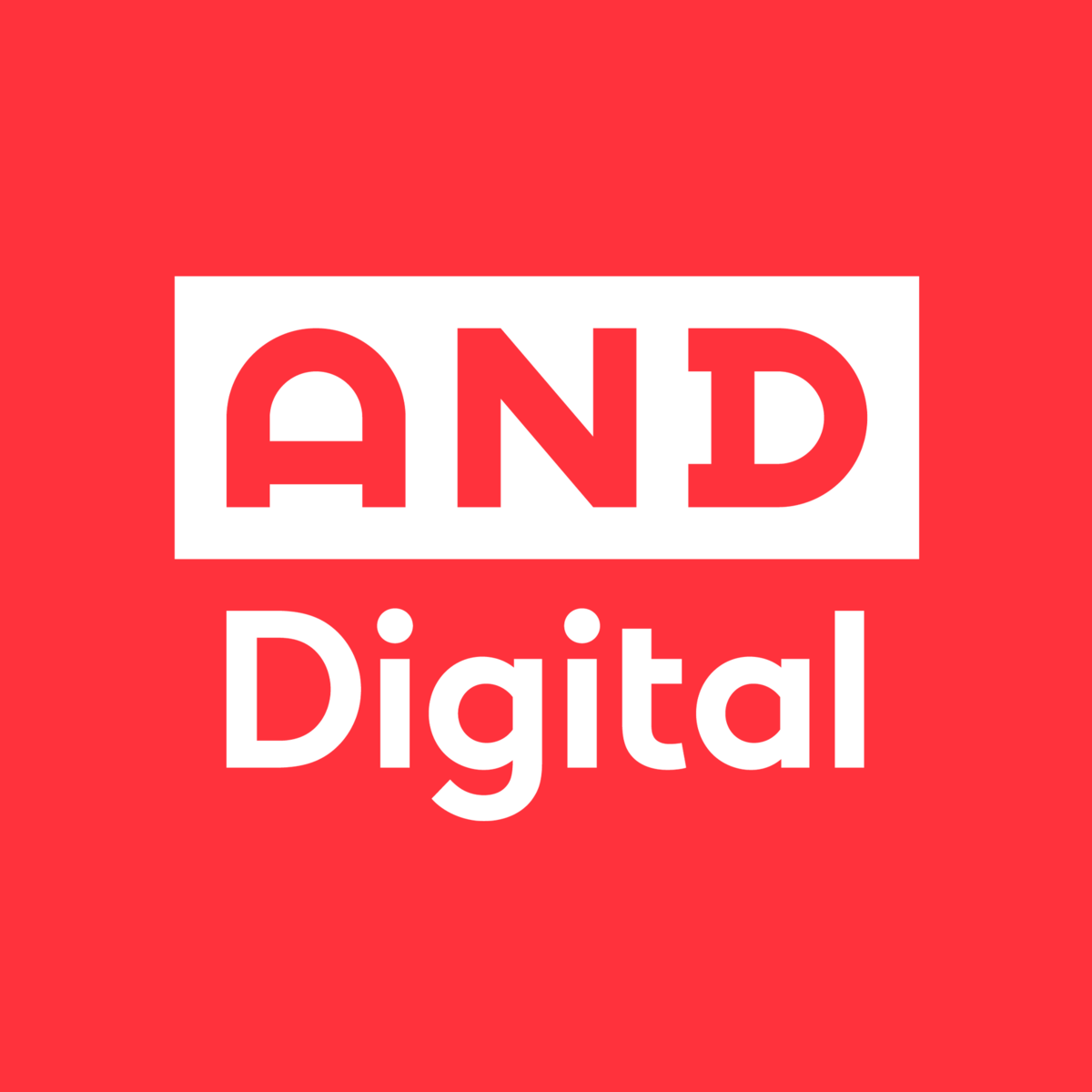 Solution Director: Engineering at AND Digital