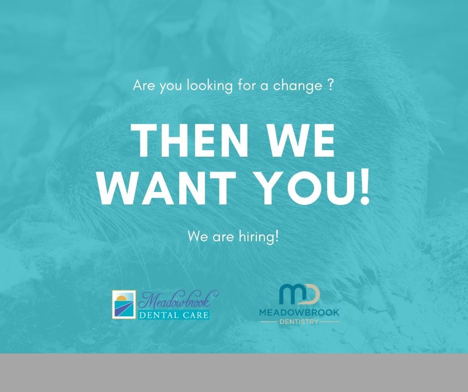 Meadowbrook Dentistry Current Openings