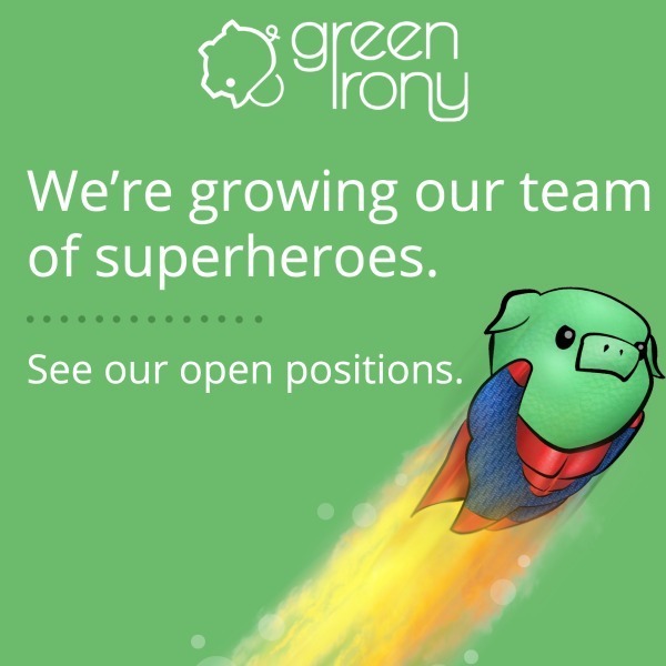salesforce-solution-architect-raleigh-green-irony