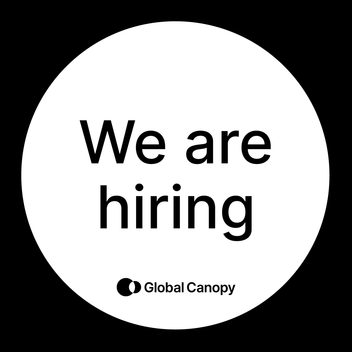 Data Visualisation Developer Global Canopy Jobs By Workable