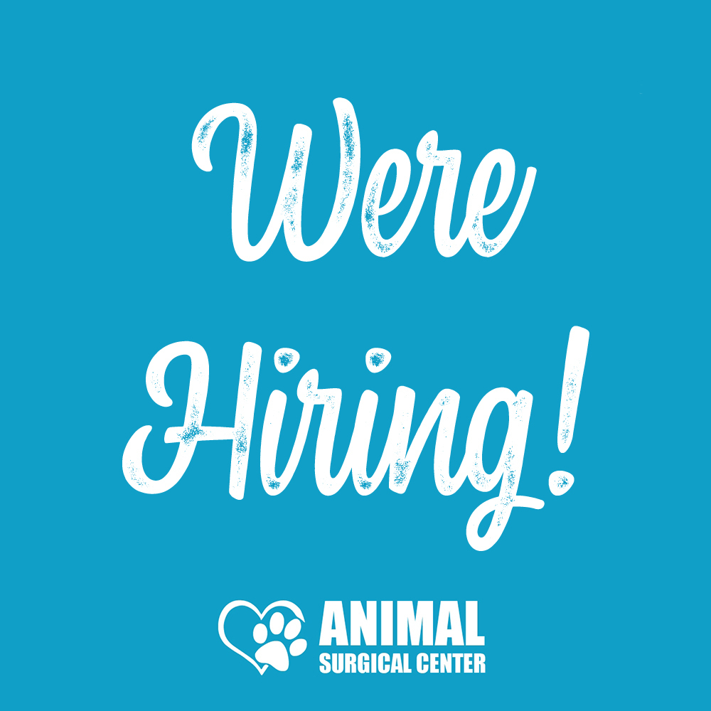 Overnight Veterinarian (Part Time) Animal Surgical Center