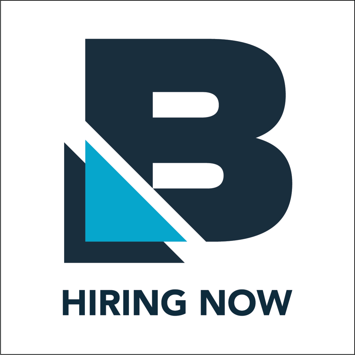Technical writer bayside support services