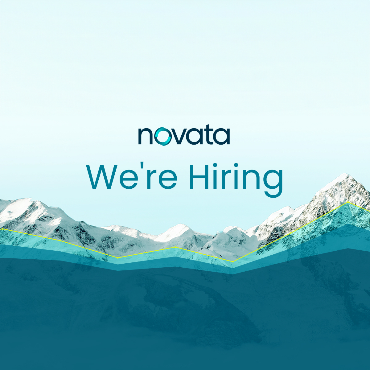 Novata Current Openings