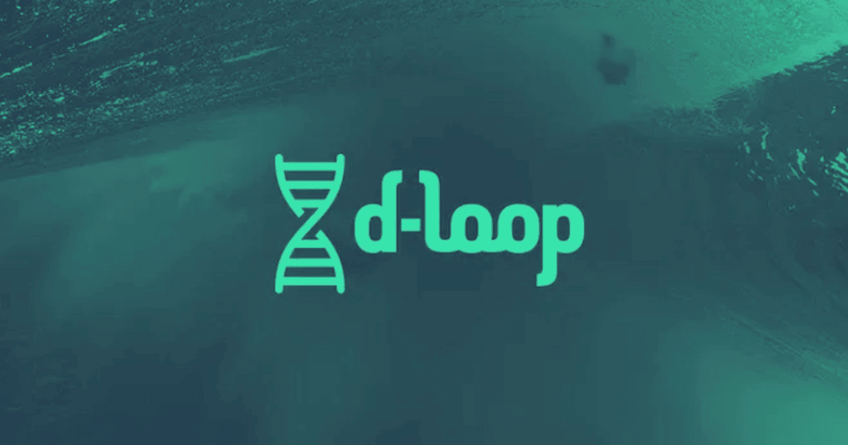 D-LOOP DAO - Current Openings