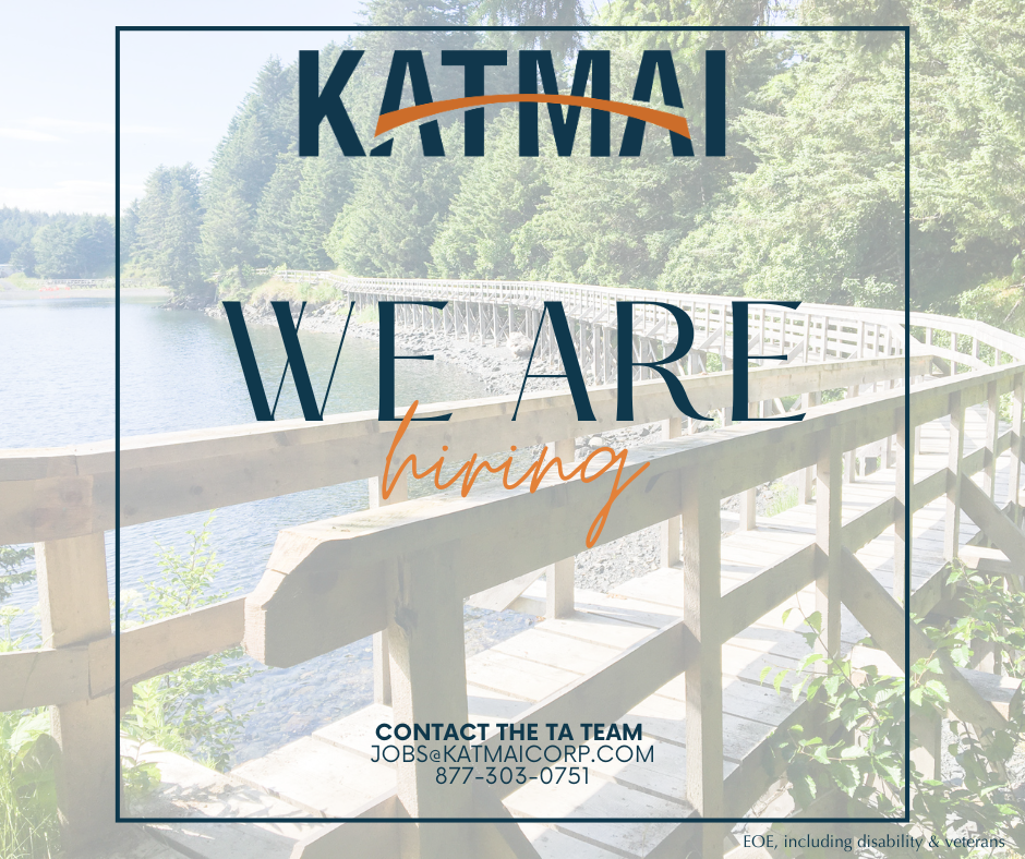 Systems Monitoring Analyst I (Entry-Level) | Katmai | Jobs by Workable