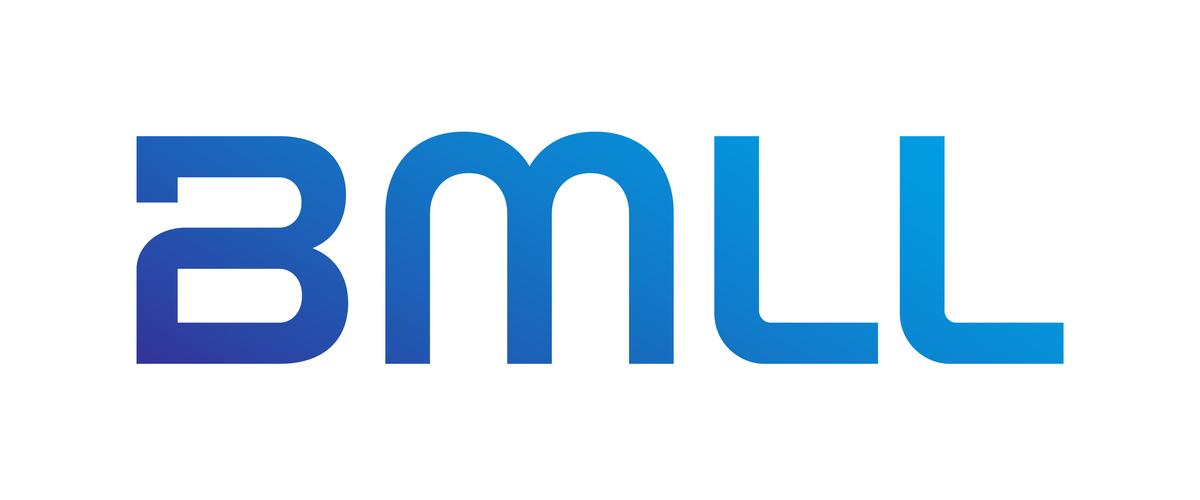 Sales Director at BMLL Technologies