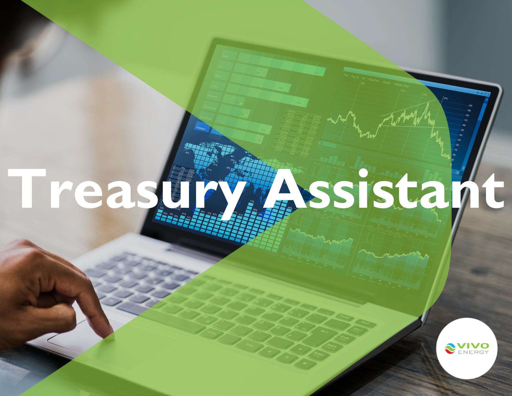Treasury Assistant