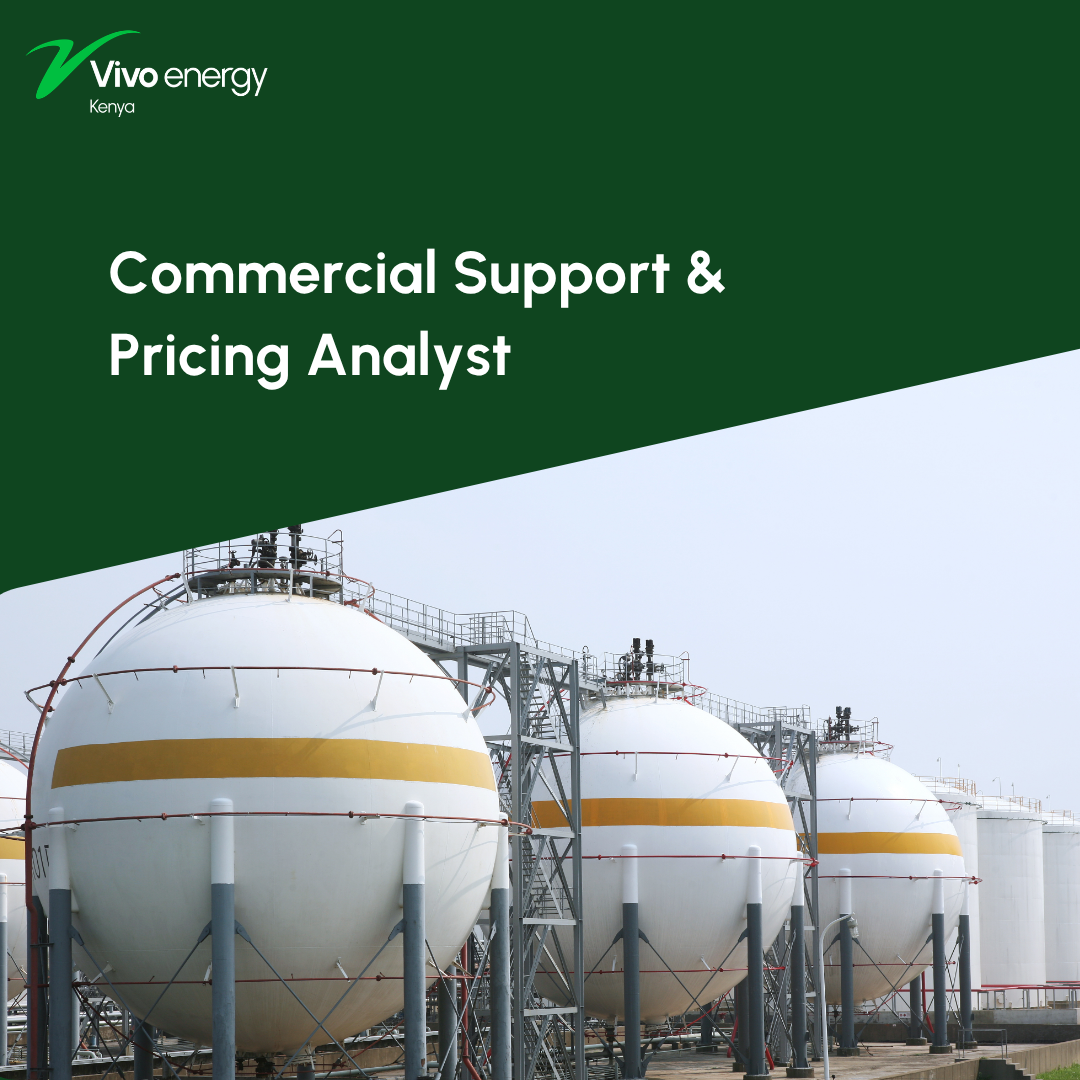 Vivo Energy – Commercial Support & Pricing Analyst