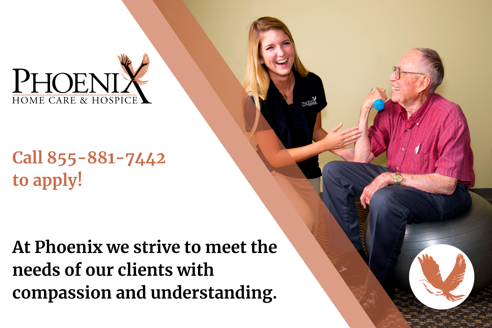 Physical Therapist Assistant Phoenix Home Care and Hospice Jobs By