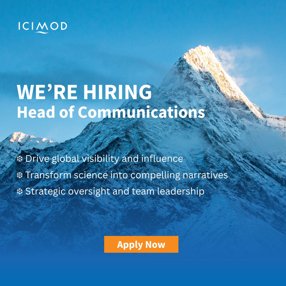 Head of Communications