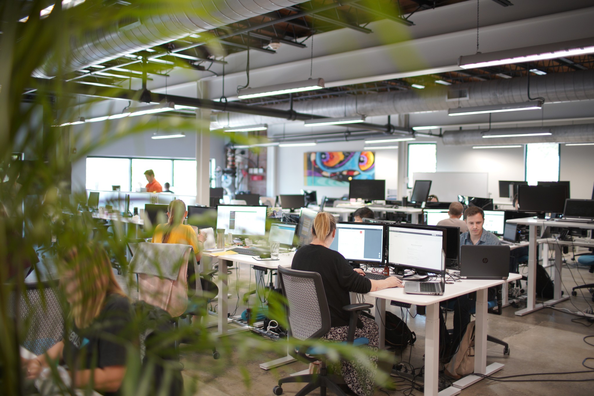 Ceterus provides a complete accounting service for franchises.